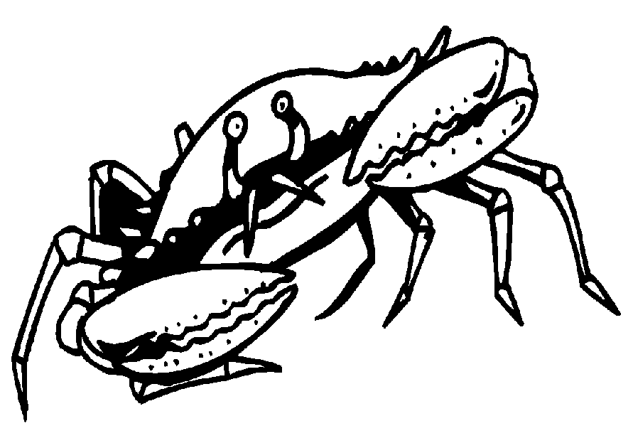 Crab coloring pages