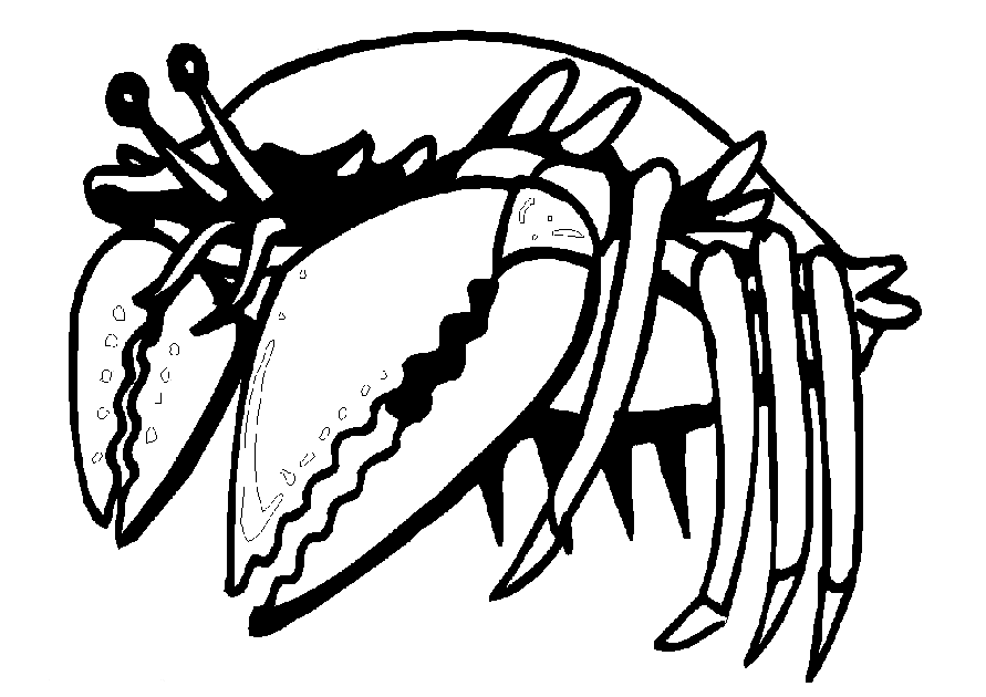 Crab coloring pages