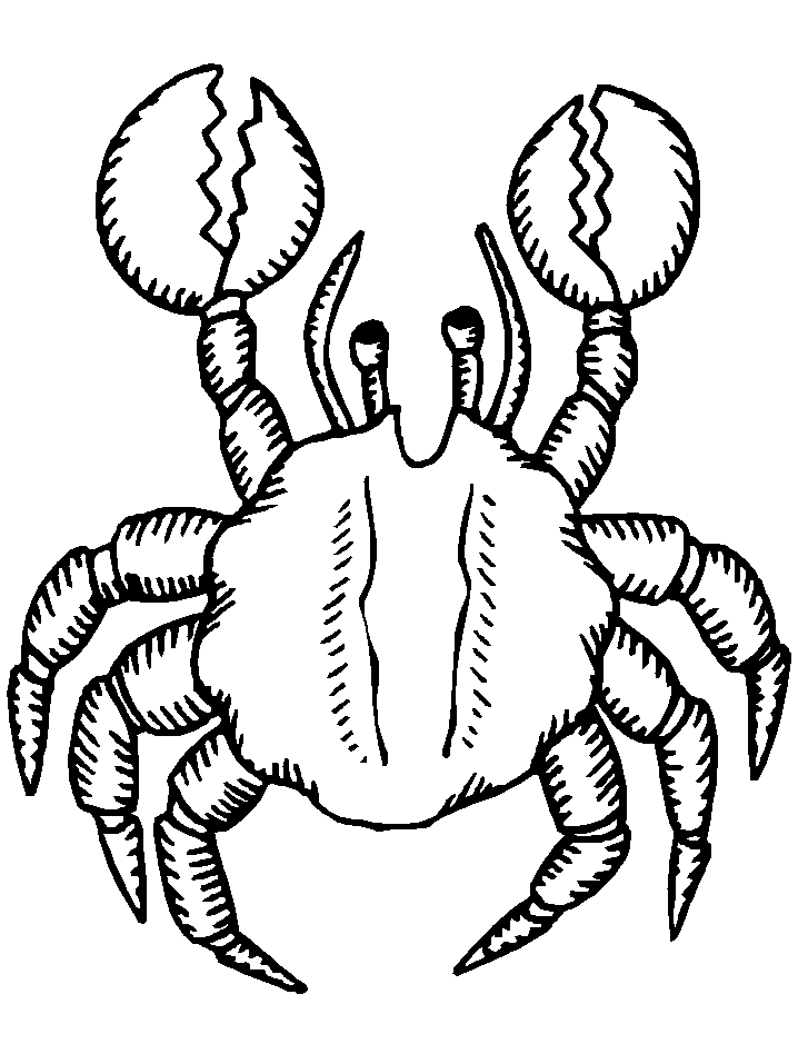 Crab coloring pages