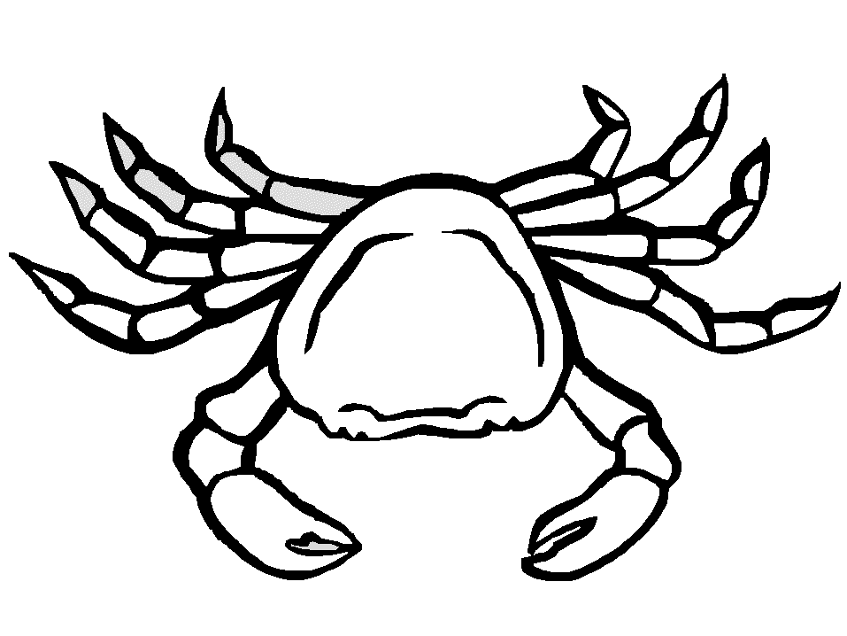 Crab coloring pages