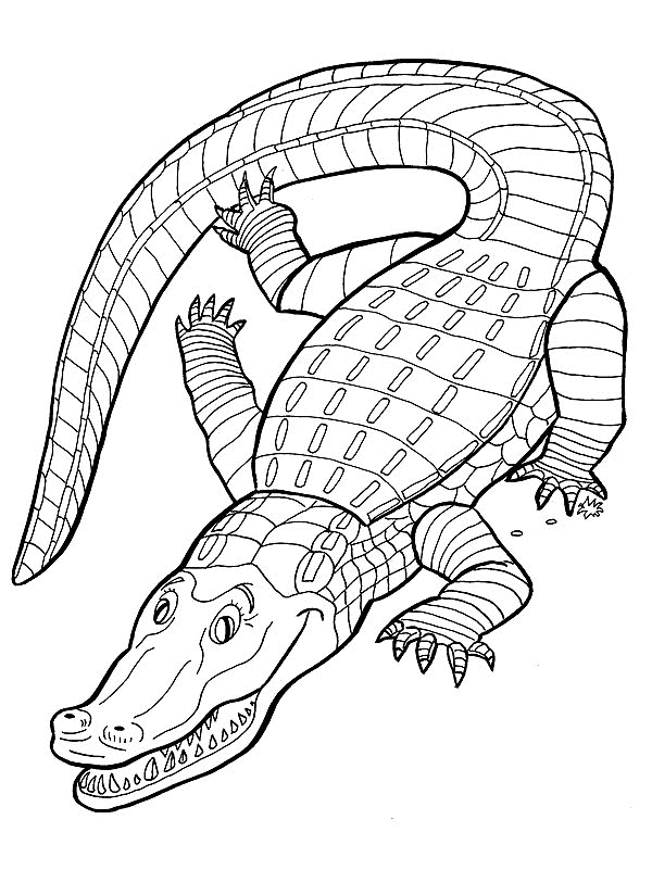 Crocodile coloring pages