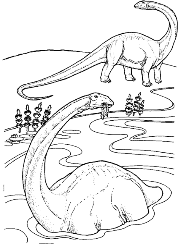 Dinosaur coloring pages