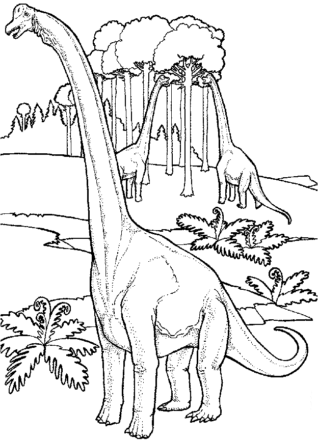 Dinosaur coloring pages