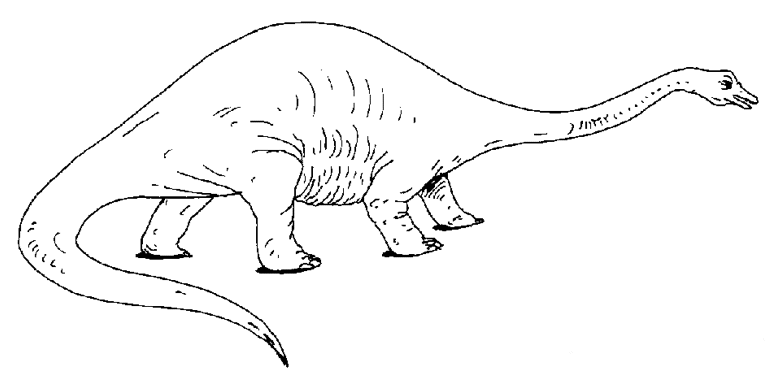 Dinosaur coloring pages