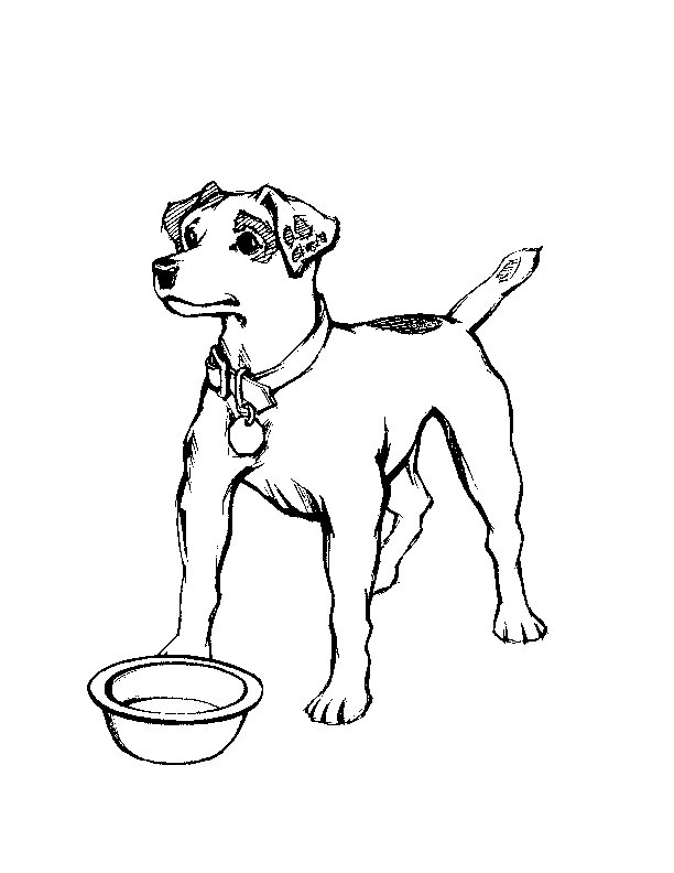 Dog coloring pages