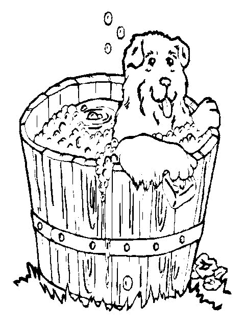 Dog coloring pages