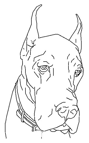 Dog coloring pages