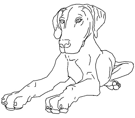 Dog coloring pages