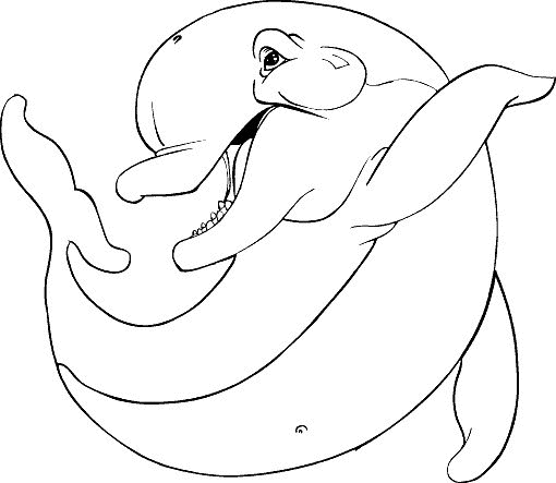 Dolphin coloring pages