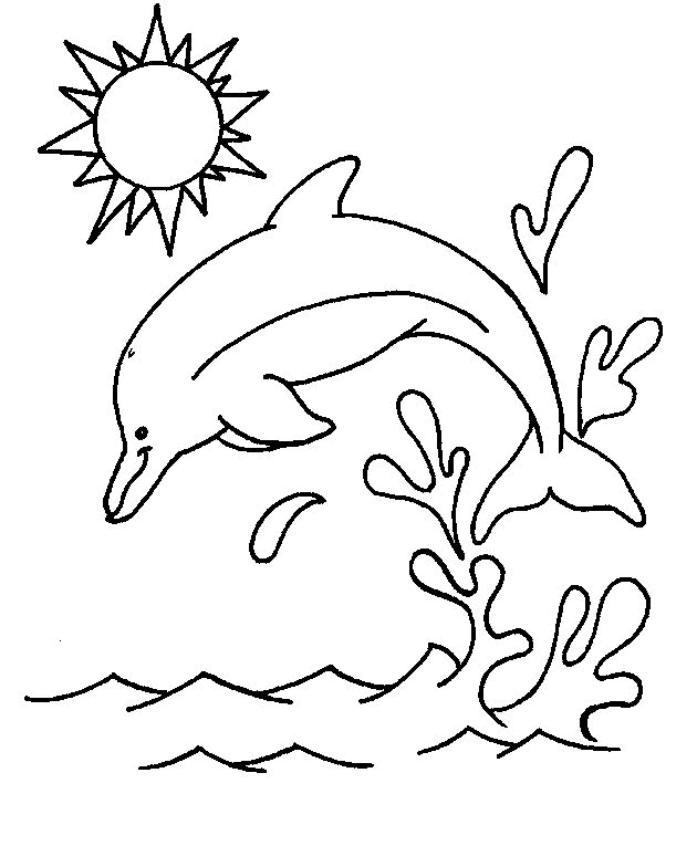 Dolphin