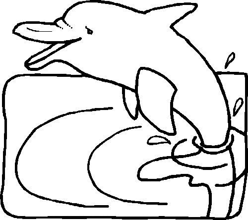 Dolphin