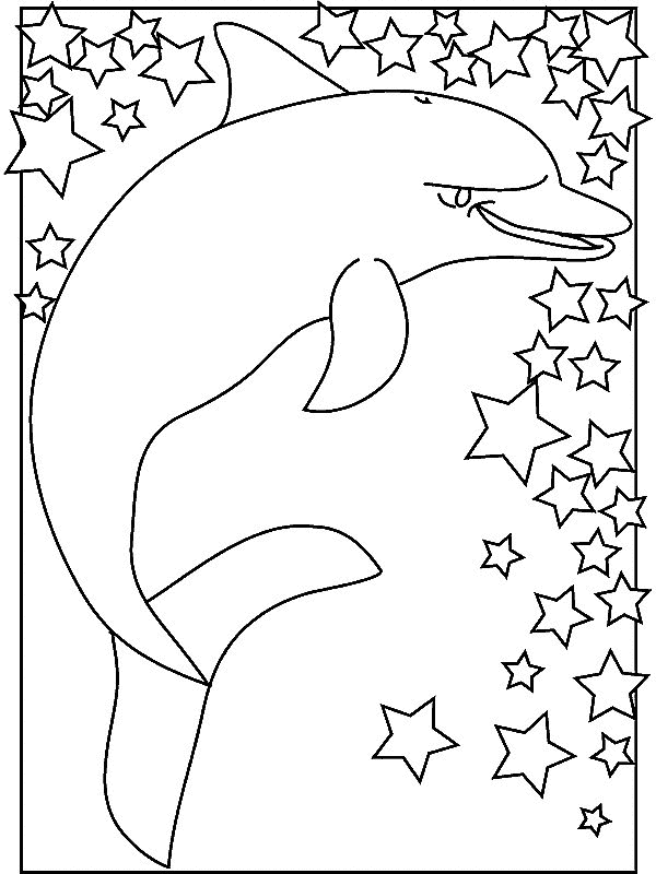 Dolphin