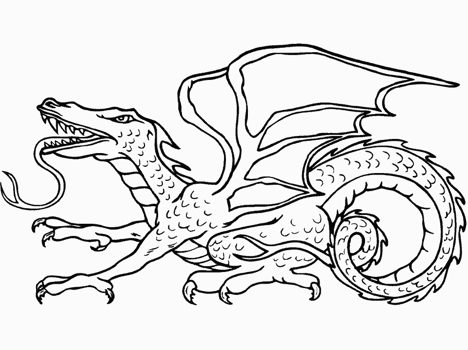 Dragon coloring pages