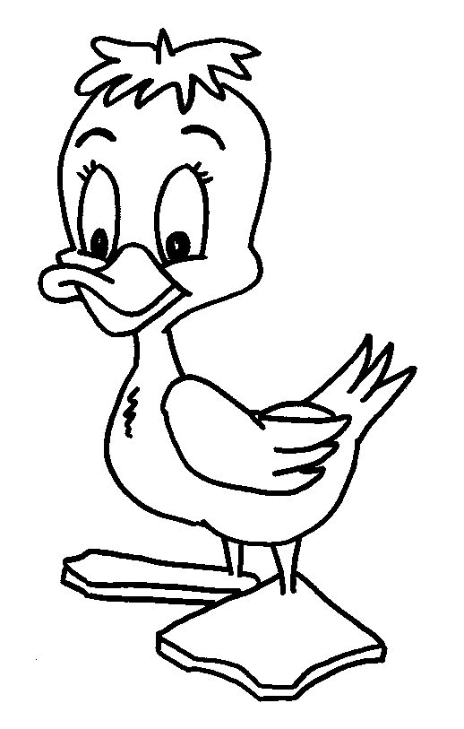 Duck coloring pages