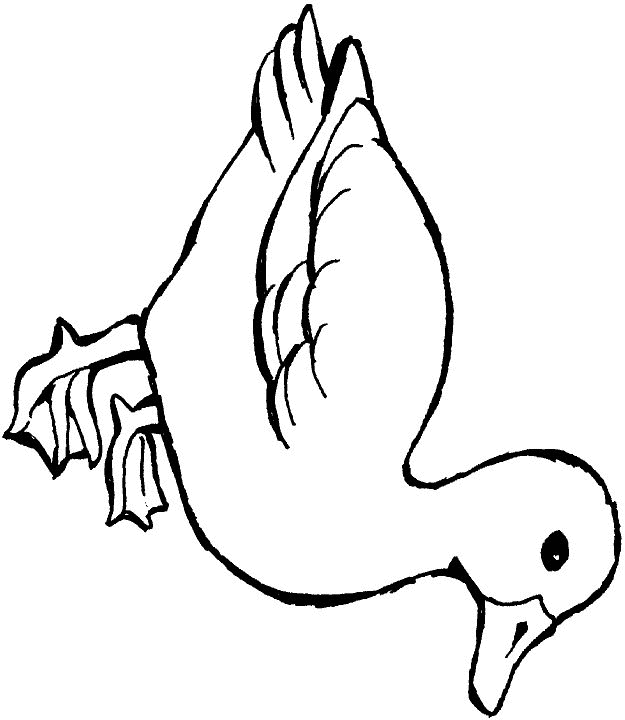 Duck coloring pages