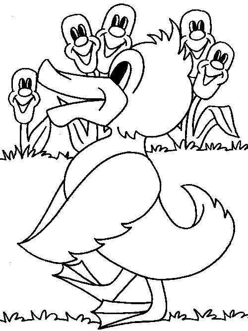 Duck coloring pages