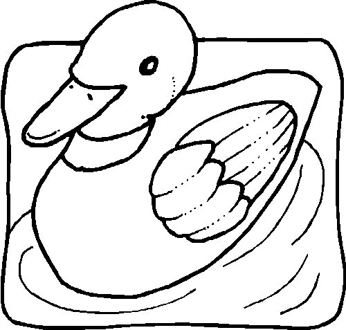 Duck coloring pages