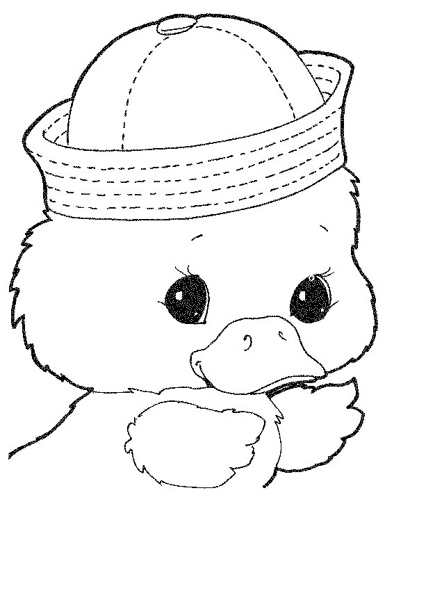 Duck coloring pages