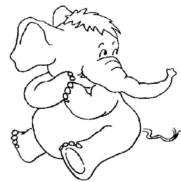 Elephant coloring pages