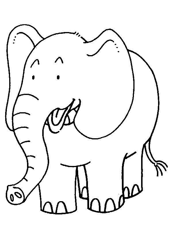 Elephant coloring pages