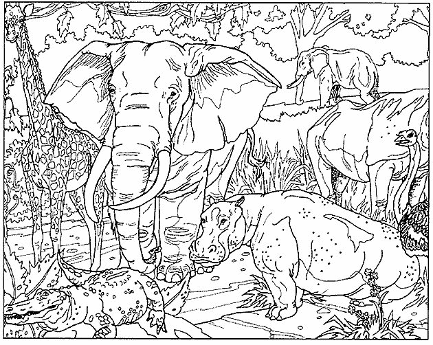 Elephant coloring pages