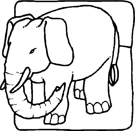 Elephant coloring pages