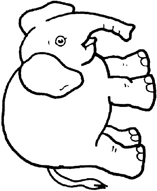 Elephant coloring pages