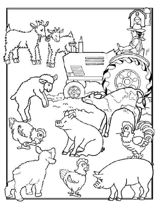 Farm animals coloring pages