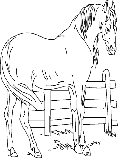 Farm animals coloring pages