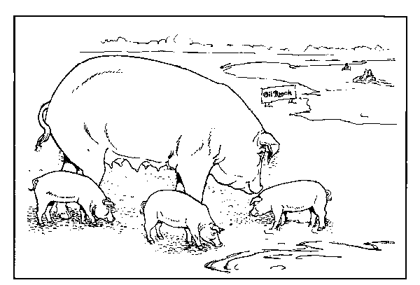 Farm animals coloring pages