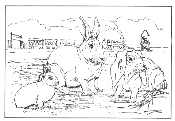 Farm animals coloring pages