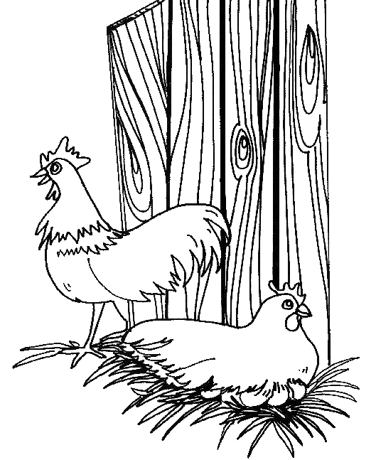 Farm animals coloring pages