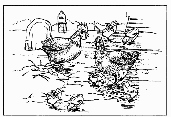 Farm animals coloring pages