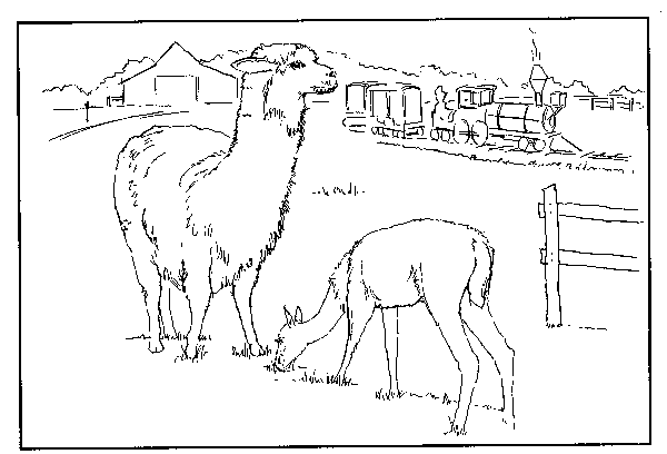 Farm animals coloring pages