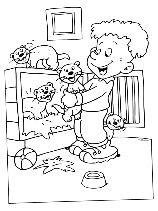 Ferret coloring pages