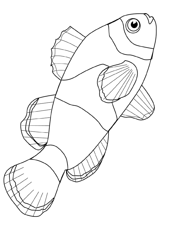 Fish coloring pages