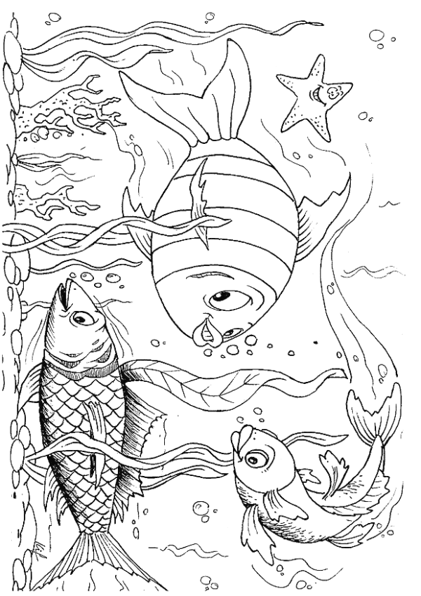 Fish coloring pages