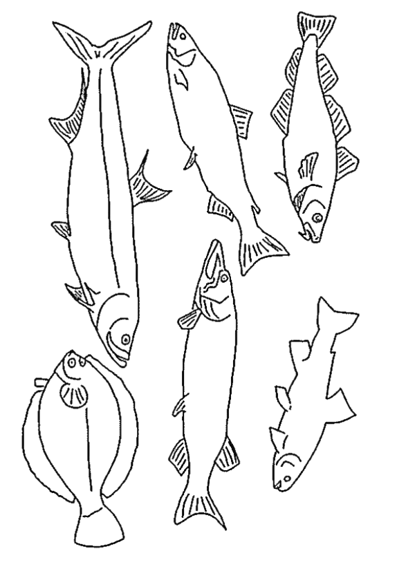 Fish coloring pages