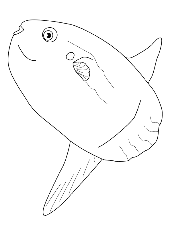 Fish Coloring Pages