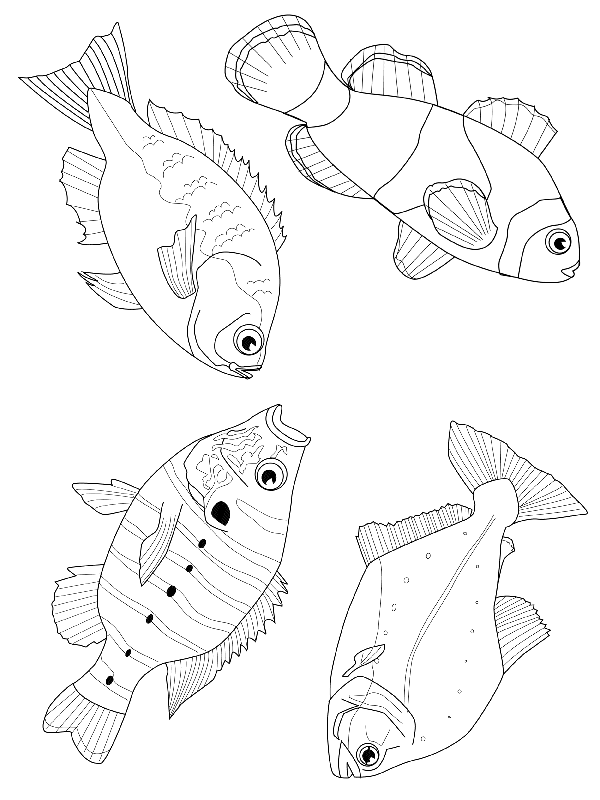 Fish coloring pages