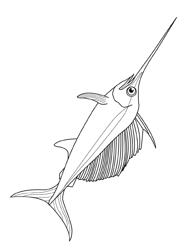 Fish coloring pages