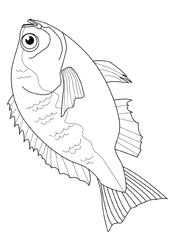 Fish coloring pages