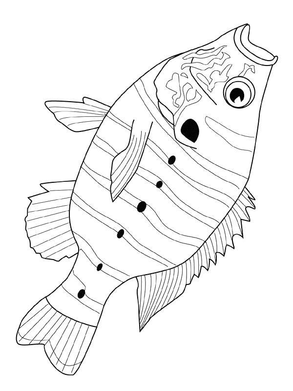 Fish coloring pages