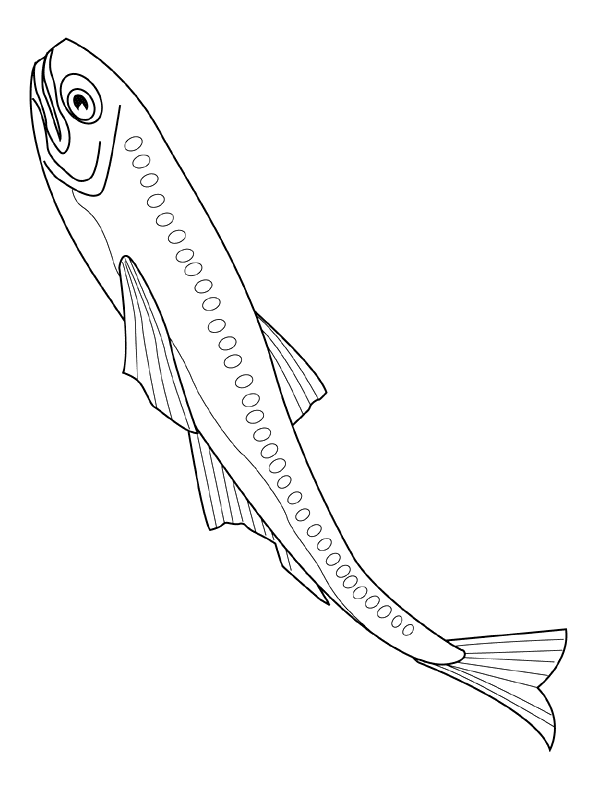 Fish coloring pages