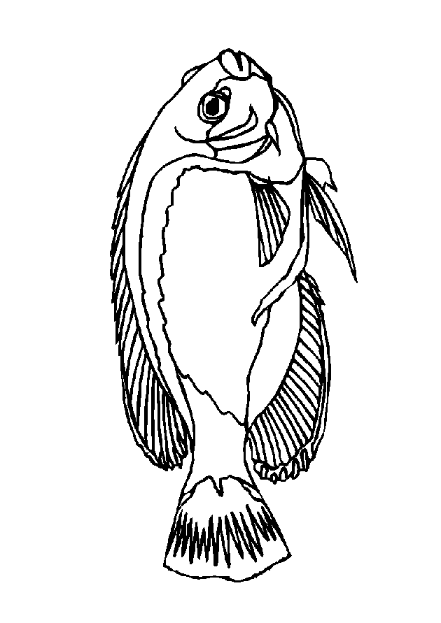 Fish coloring pages