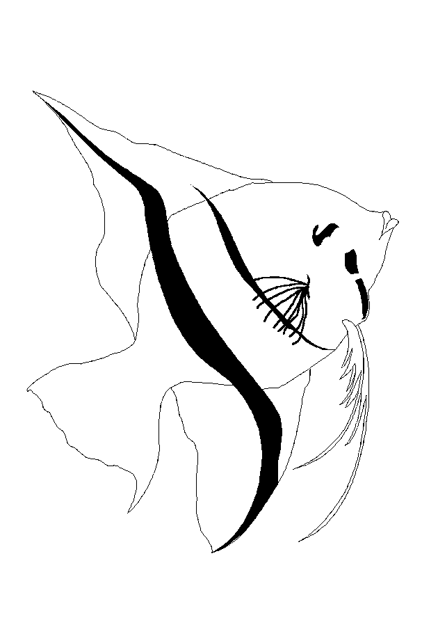 Fish coloring pages