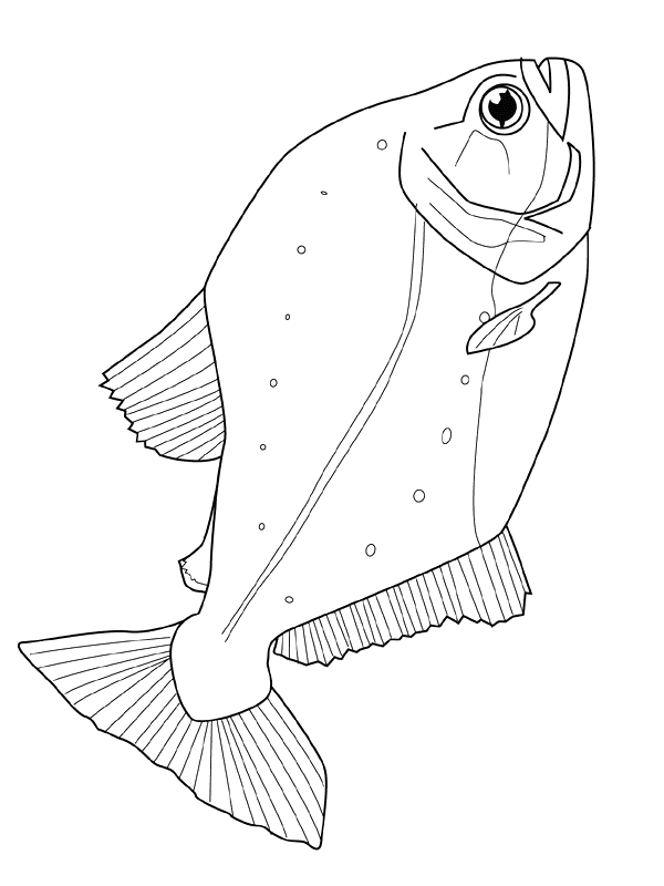 Fish coloring pages