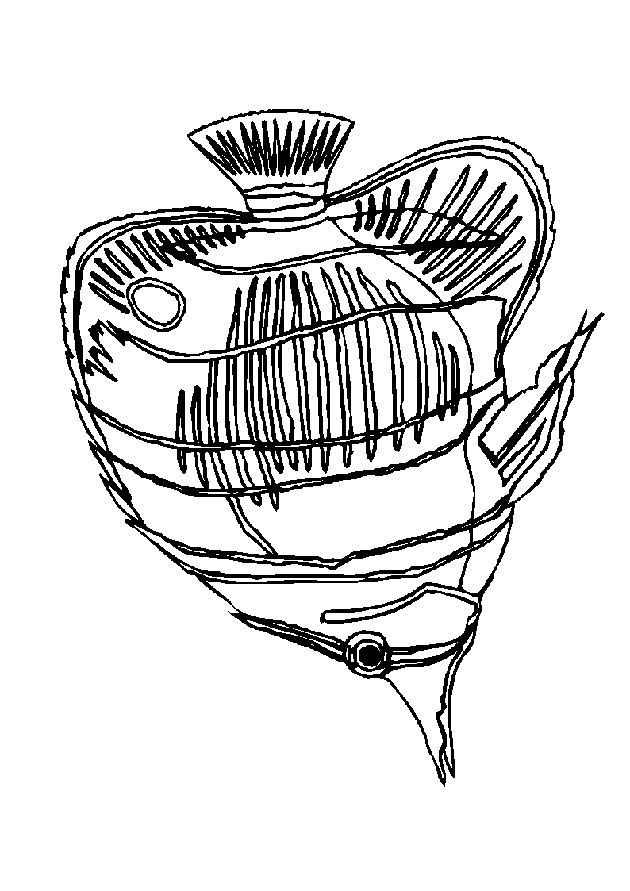 Fish coloring pages