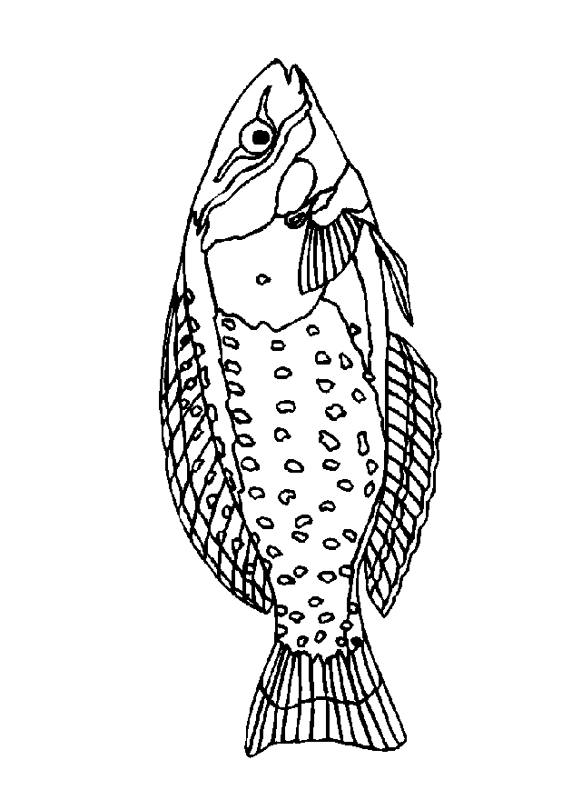 Fish coloring pages