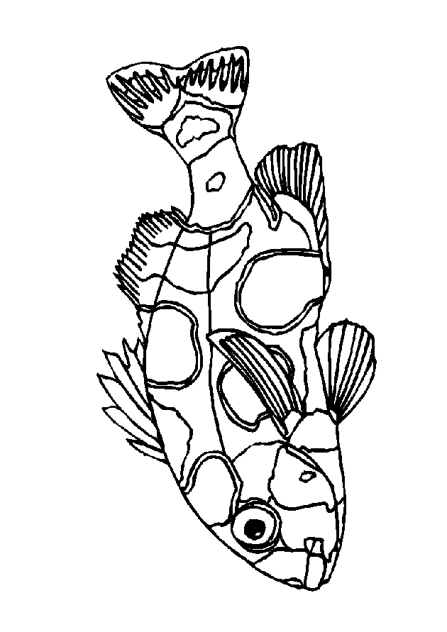 Fish coloring pages